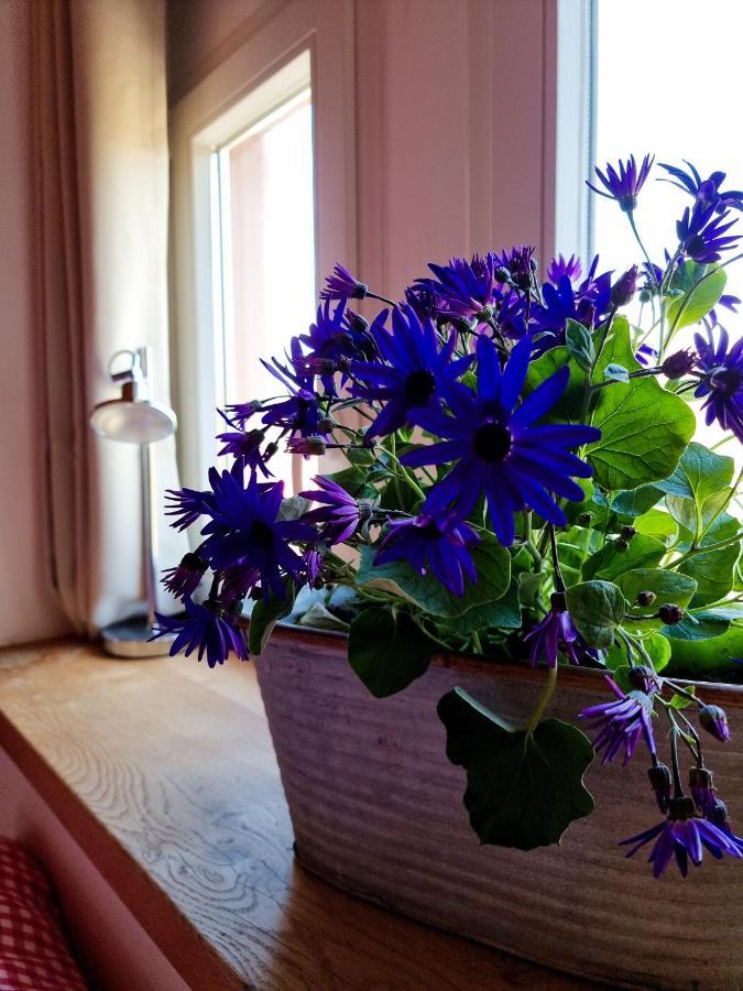 Glaadter Huette Villa Junkerath Екстериор снимка